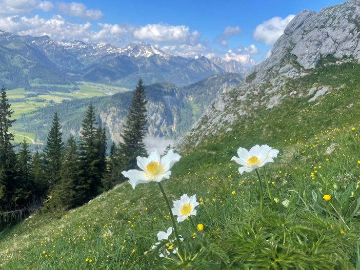Landschaft_06.2023