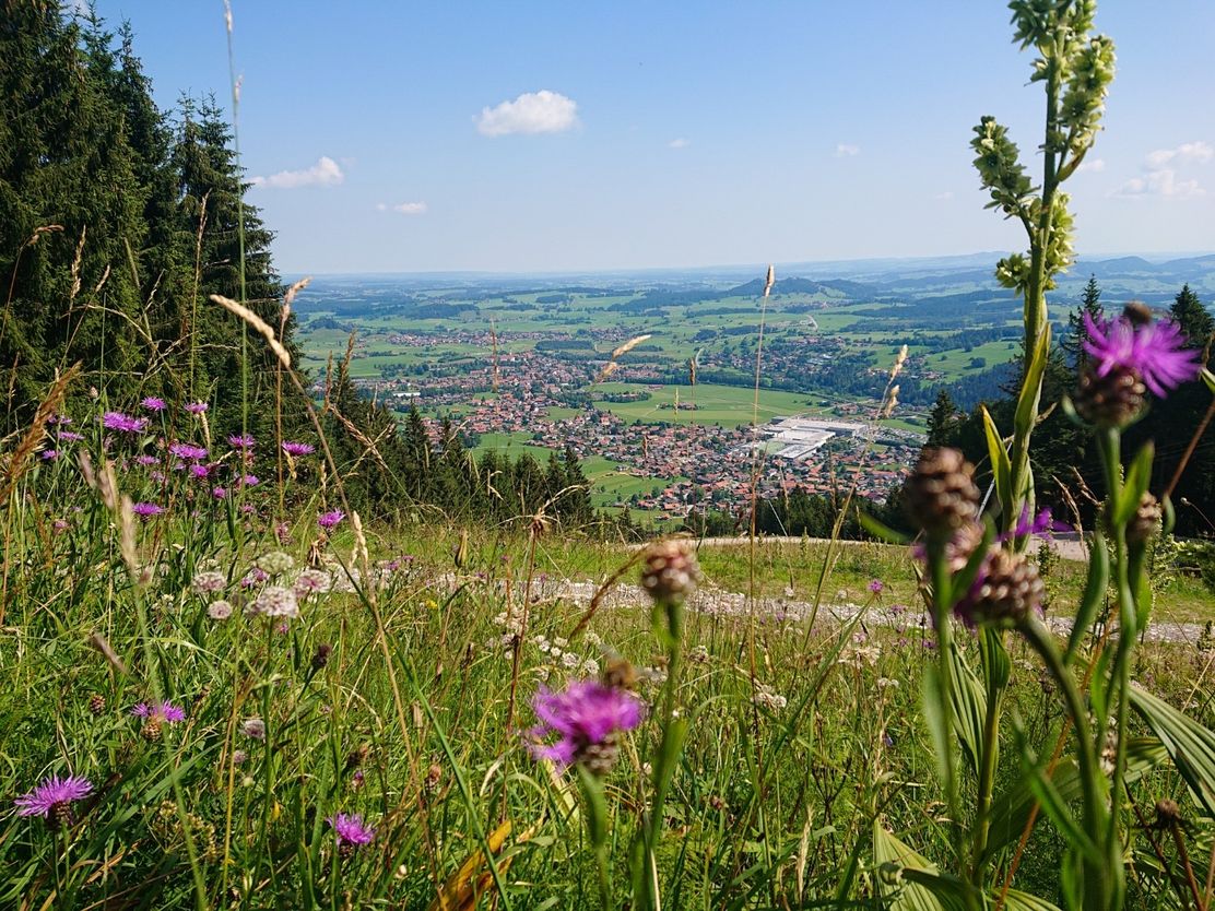 Blick vom Tiroler Stadl auf Pfronten im Allgäu