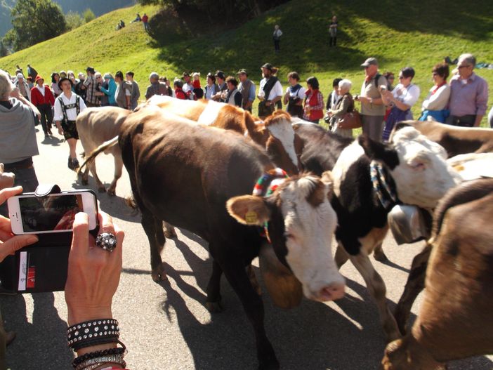 Viehscheid in Obermaiselstein