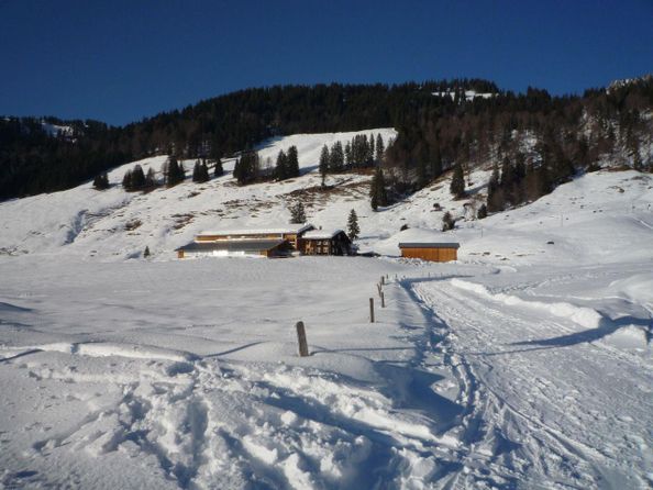 Alpe Steurer