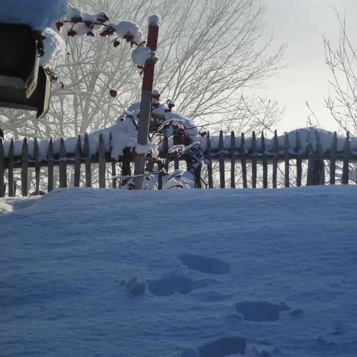Winter im Garten