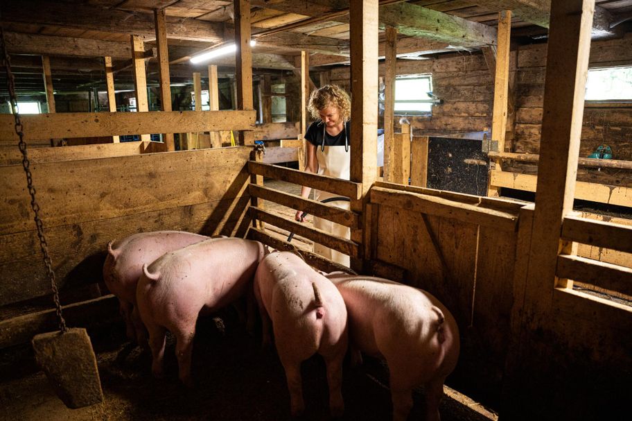 Sennalpe Schattwald - Senn auf Zeit 4