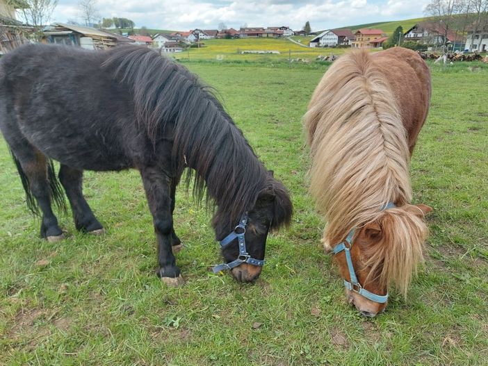 Heidi und Sissy