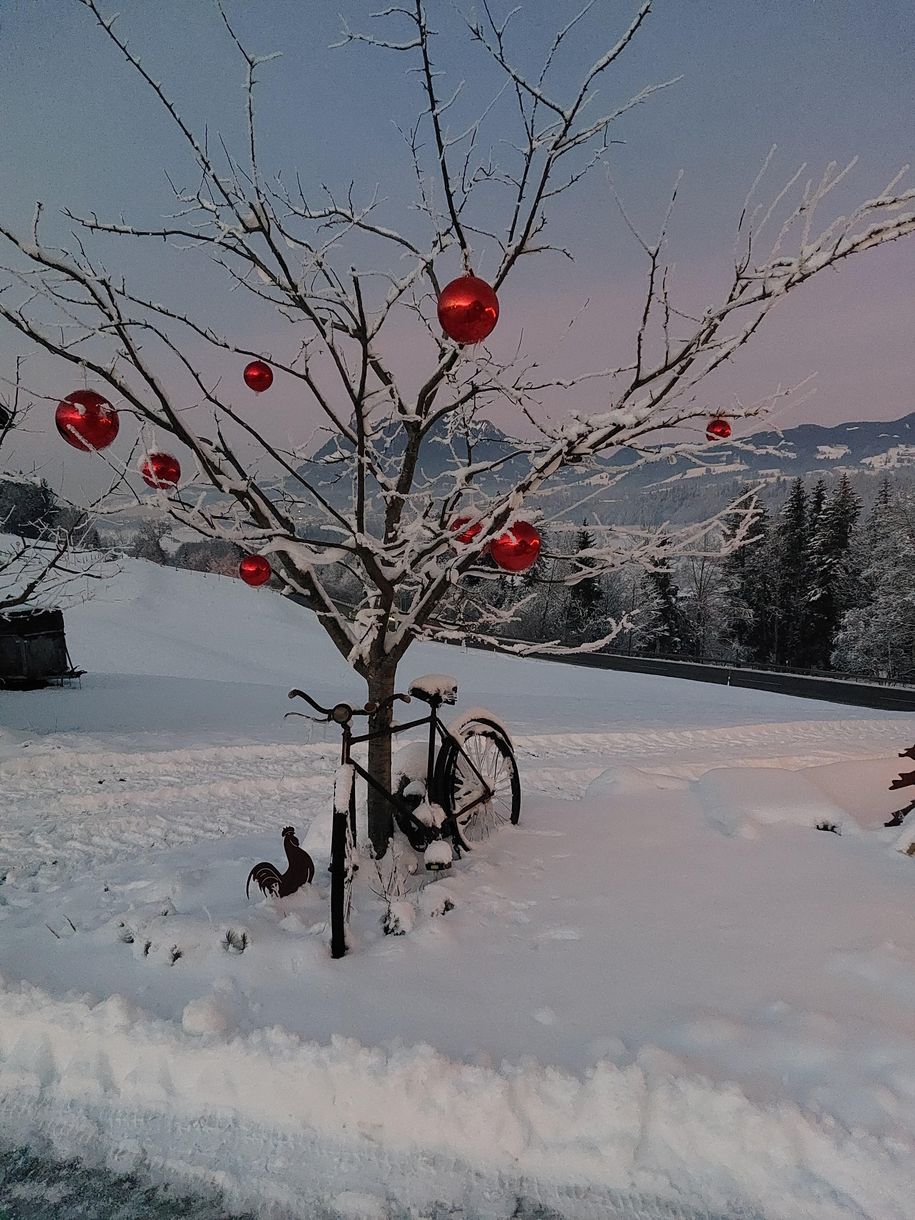Winter auf dem Landhof