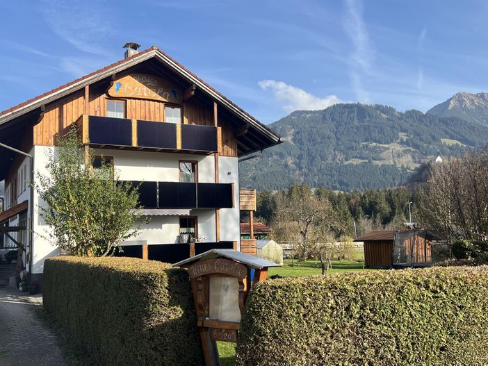 Hausbild mit Sonnenköpfe