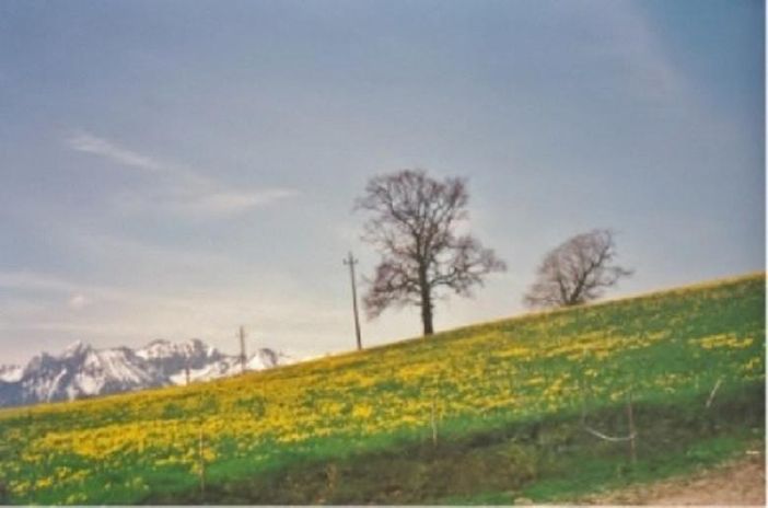 Aussicht Frühling