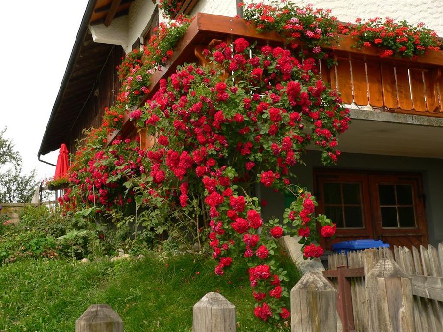 homepage-mamas_geburtstag 140