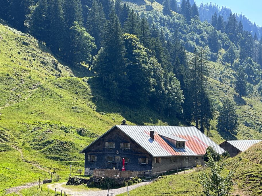 Von der Scheidwang-Alpe auf den Hochgrat