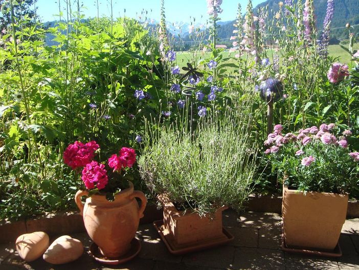 Im Garten