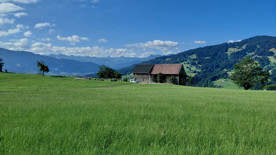 Blick Richtung Damülser Mittagsspitze
