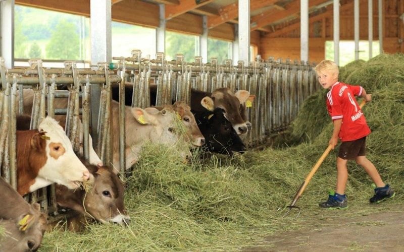 image_manager__rex_resize_800_crop_500_k_24222_img