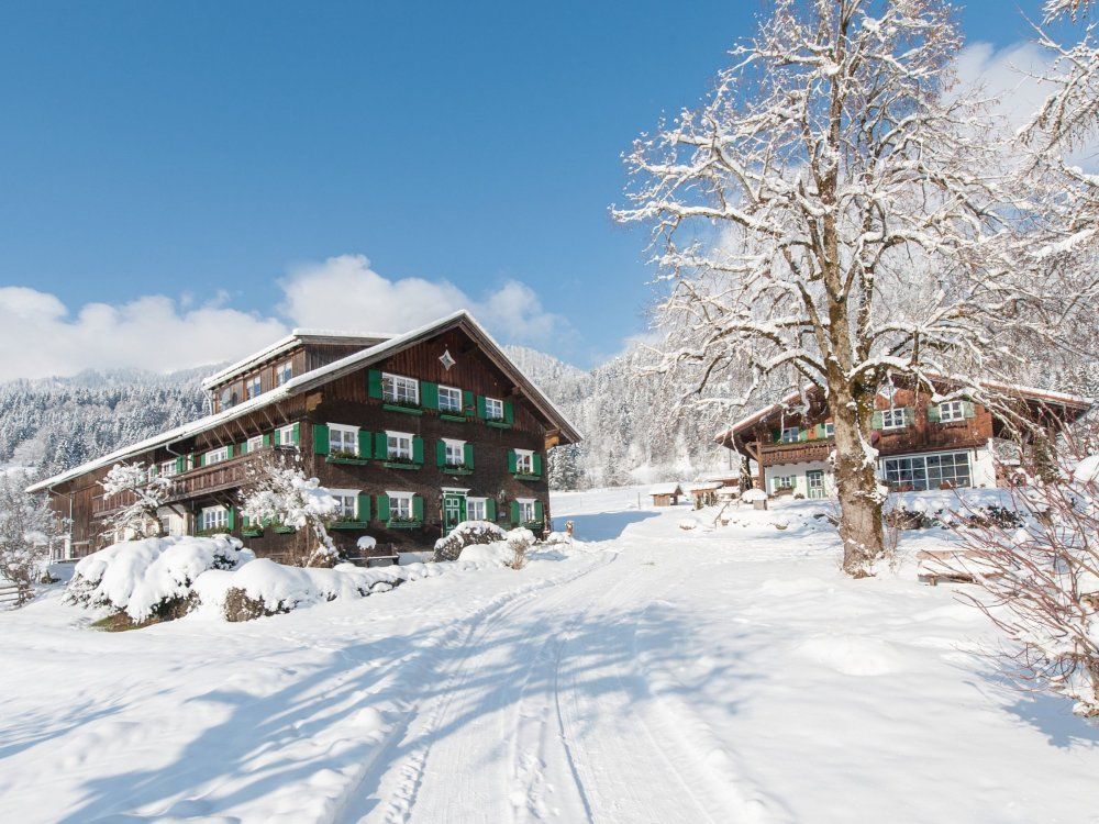Wintersport - Skifahren - Langlauf - Schneeschuhwandern - Skitouren - Winterwandern