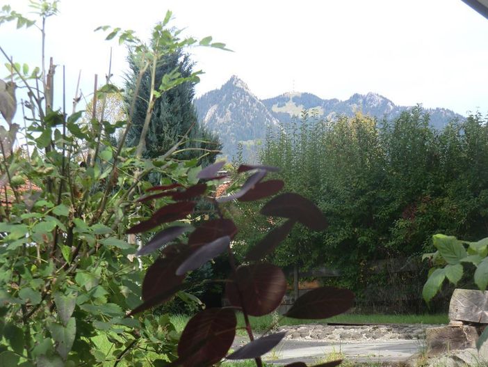 Blick aus dem Fenster zum Grünten