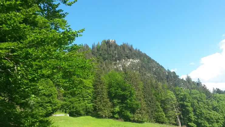 Burgruine Falkenstein