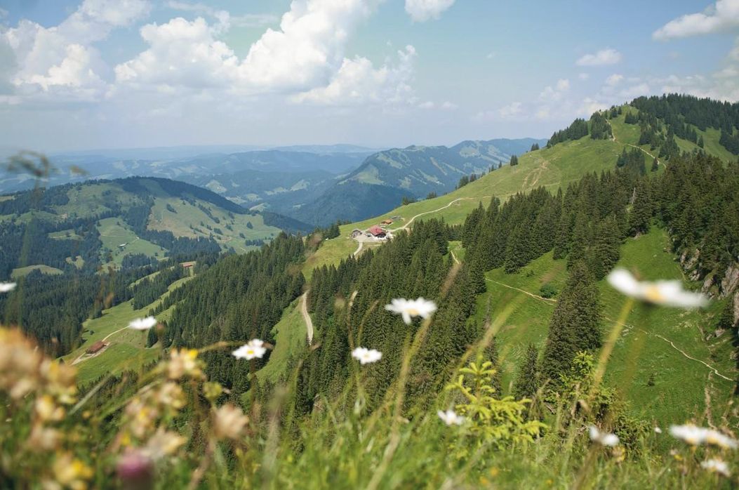 Blick vom Falken-Gipfelkreuz zur Hütte