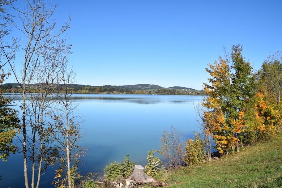 Herbstlicher Blick auf den Forggensee