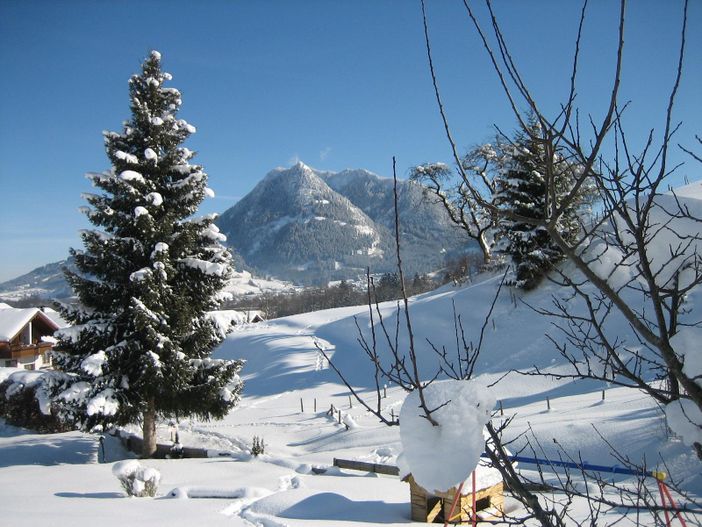 Blick auf den Grünten