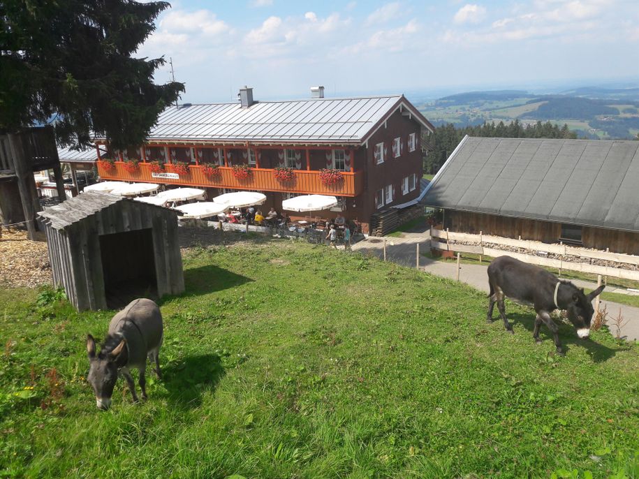 Rast am Imberghaus