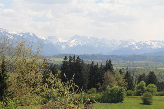Alpenpanorama