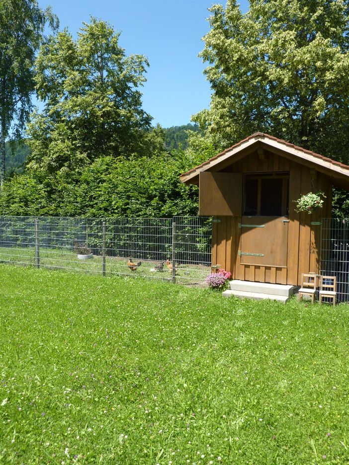 Hühnerhaus
