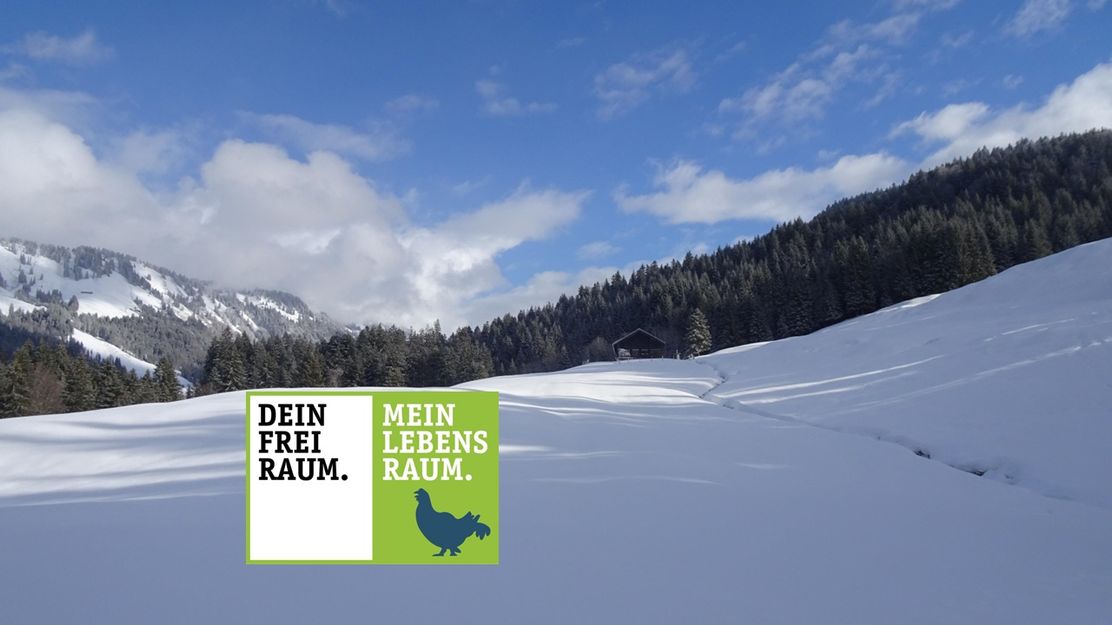 Aus dem Lecknertal zum Ochsenlager