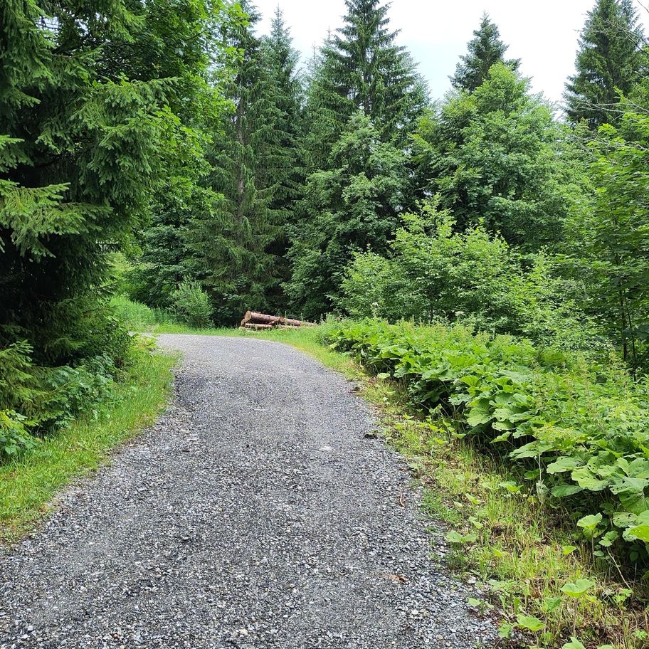 Balderschwang- Sich zit long Weg