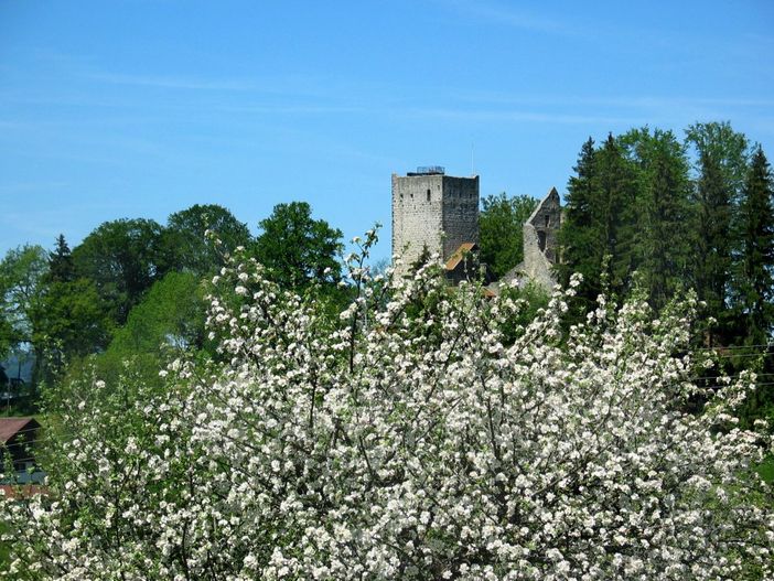 Burgruine Sulzberg