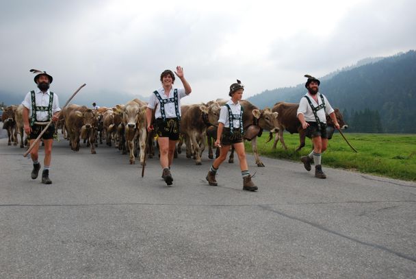 Hirten beim Einzug - Viehscheid in Balderschwang