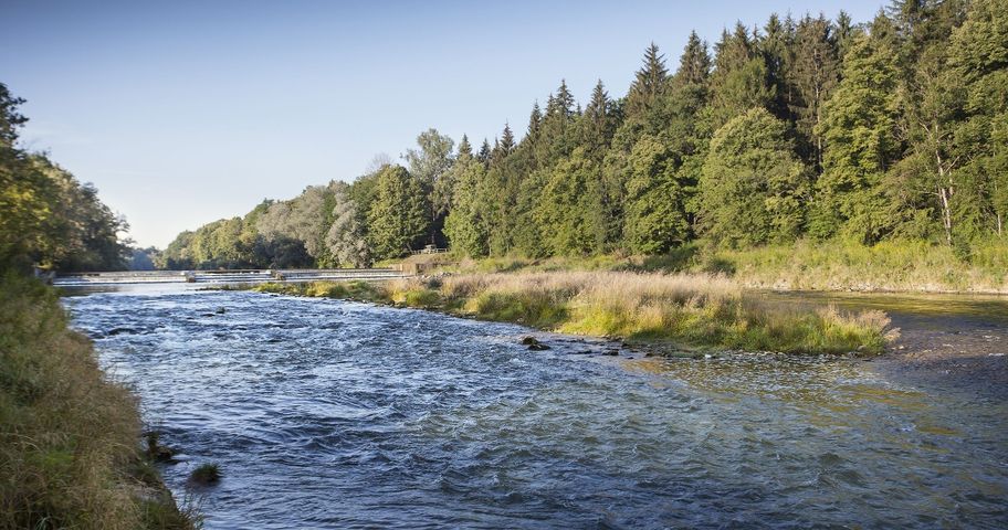 Die Iller bei Illertissen