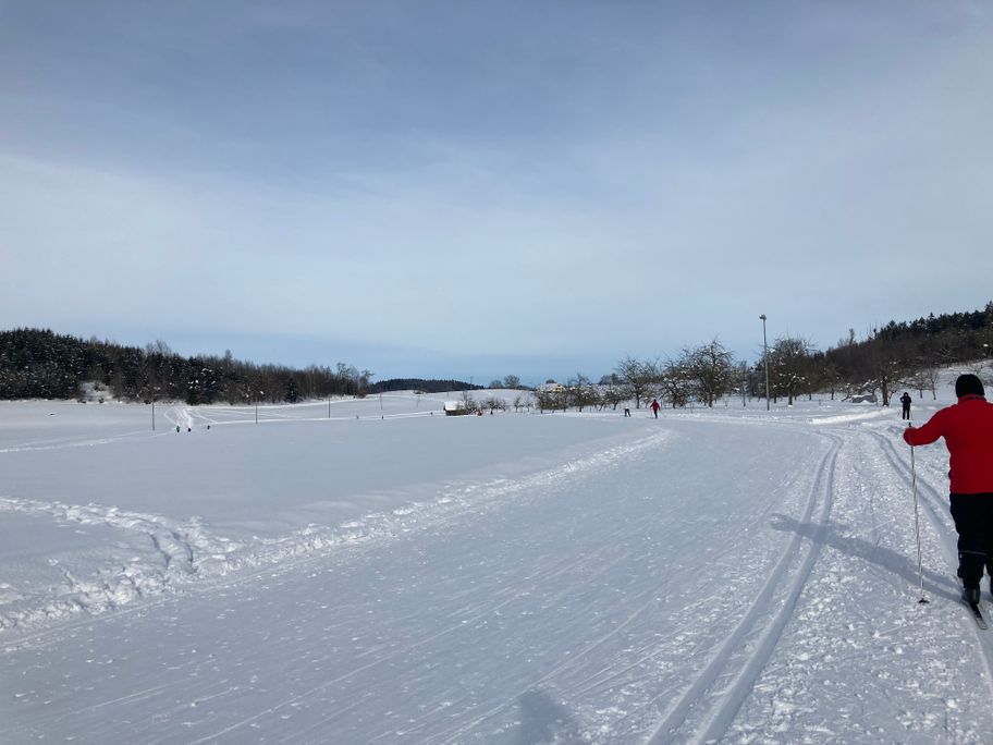 Flutlichtloipe Niederwangen