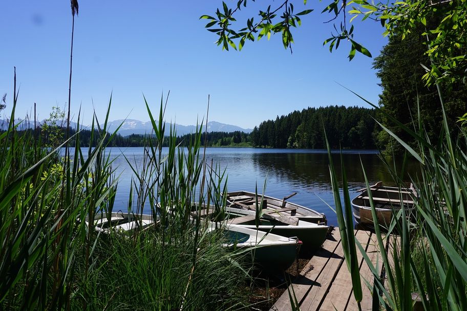 Allgäuer Königsalpenroute - Etappe 5: Roßhaupten-Lechbruck am See