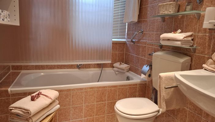 Bad Hörnerblick m.integrierter Dusche