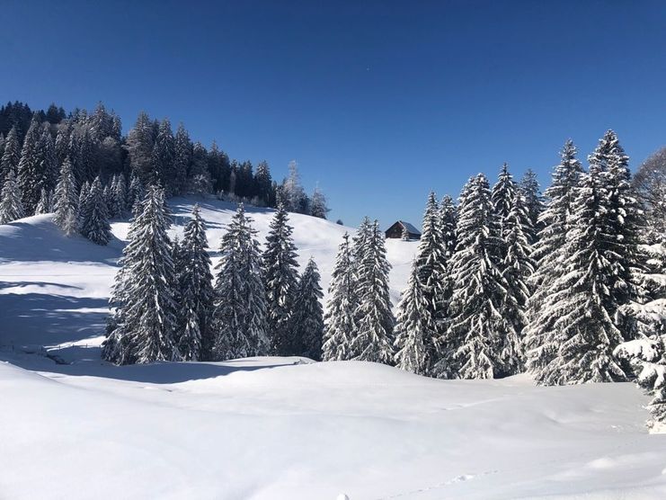 Schneeschuhtour Thalkirchdorf