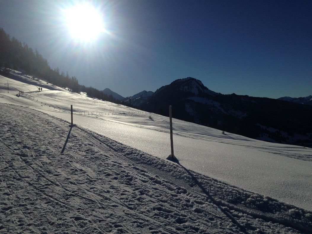 Rodeln von der Ochsenalpe