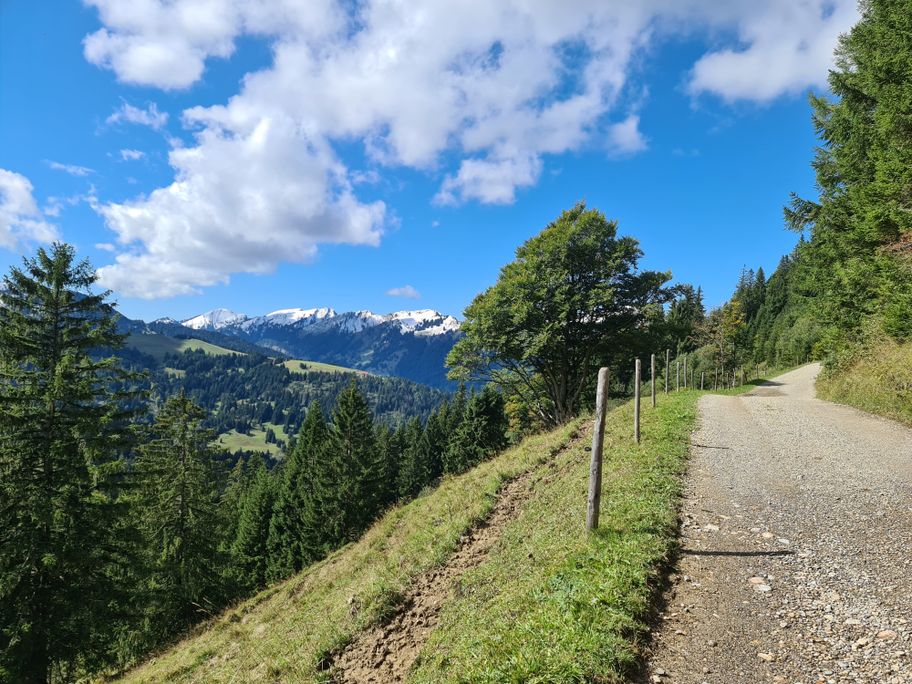 Auf dem Panoramaweg um das Ofterschwanger Horn