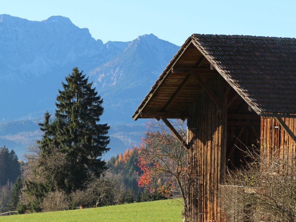 Ruhe, Natur & freier Blick bis zu den Königsschlössern genießt Du vom Natur-Chalet