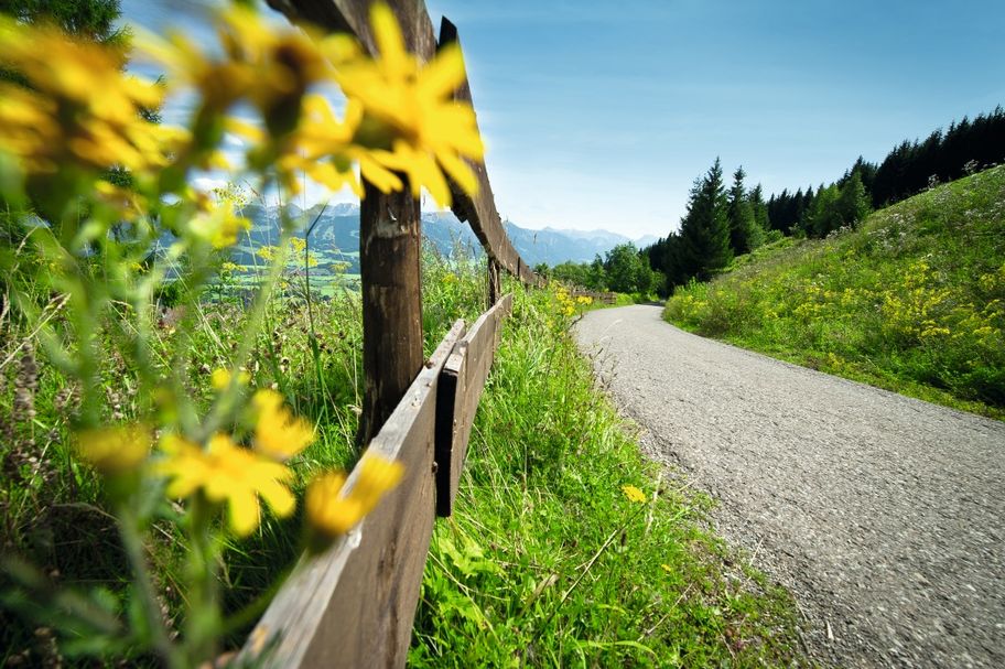 Rennradstrecke mit Bergblick