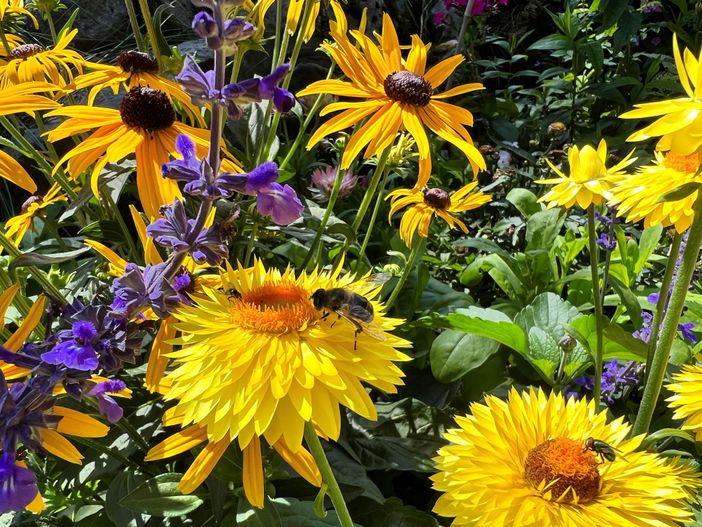 Endlich Sommer ;-)