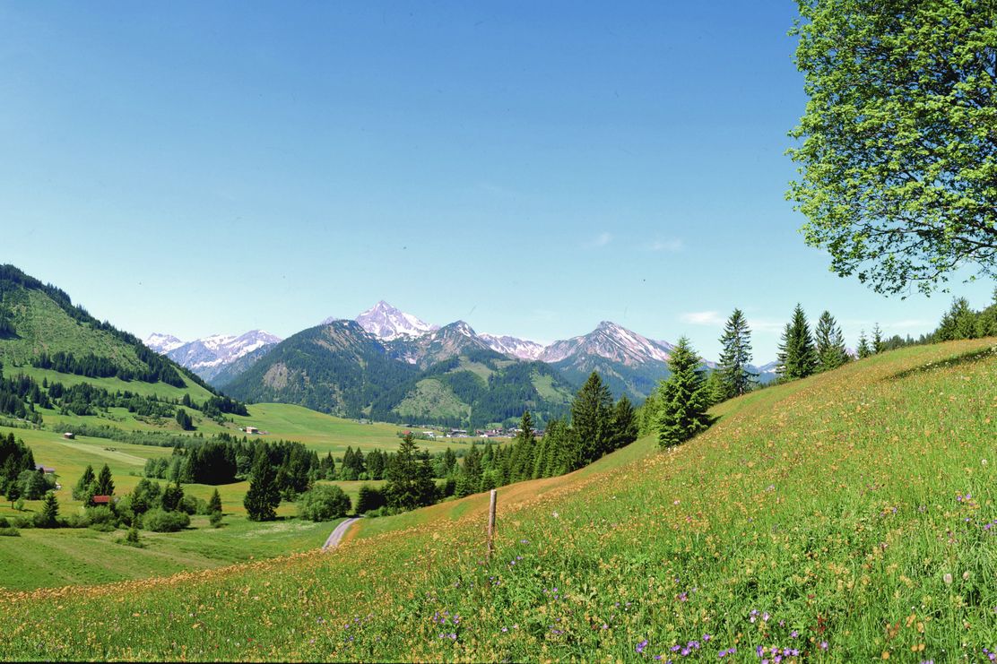 Tannheimer_Tal_Landschaft_3