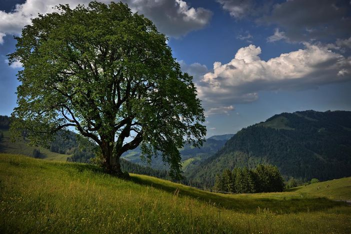 Landschaftsaufnahme