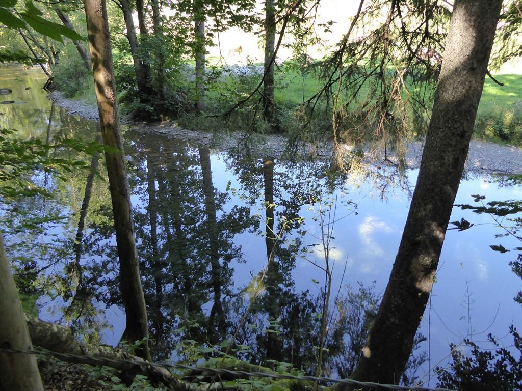 Entspannung_Im_Halder_Tobel