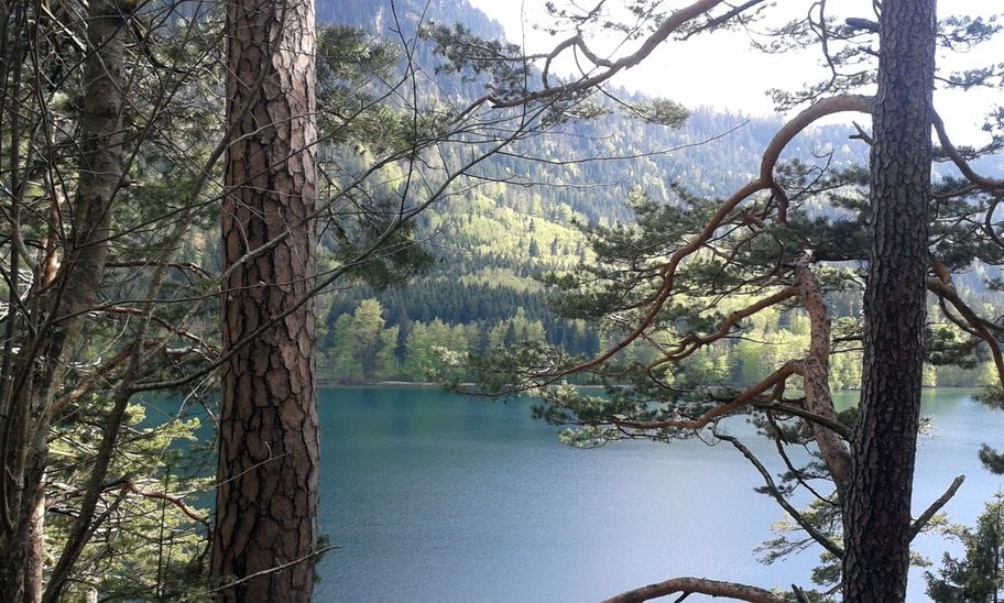 Wildromantischer Alpsee