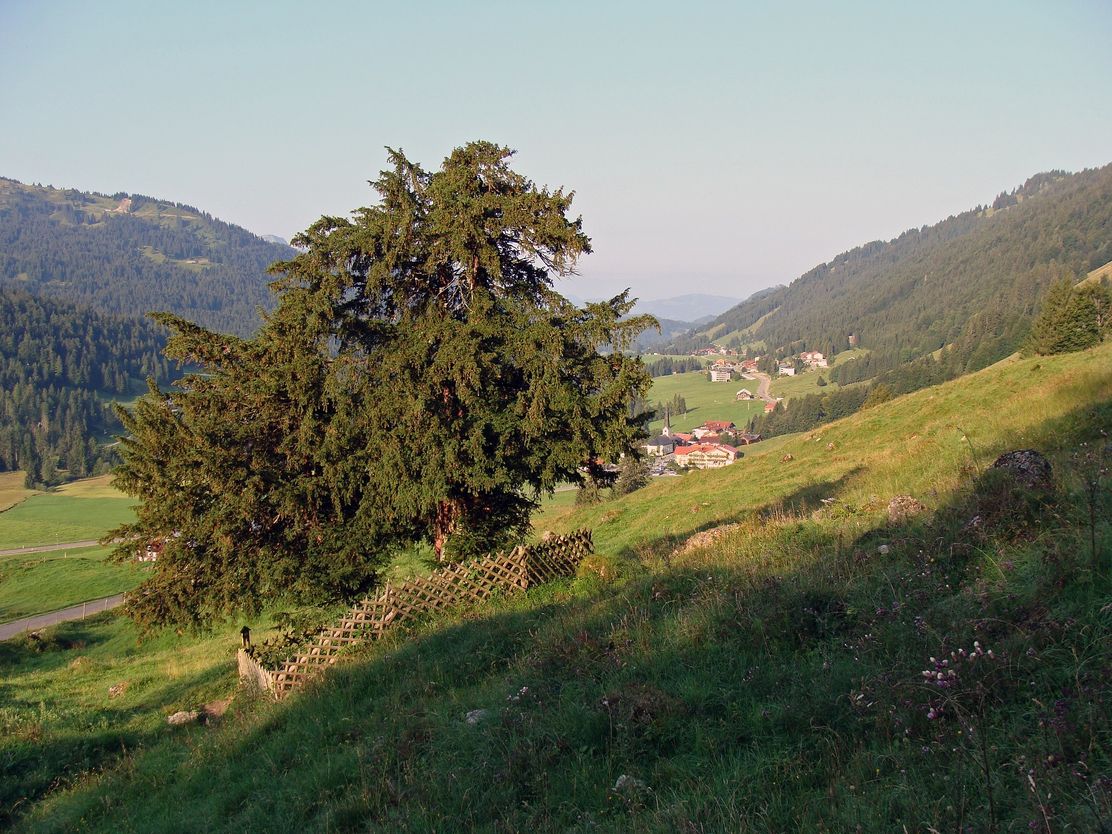 Balderschwang- Sich zit long Weg