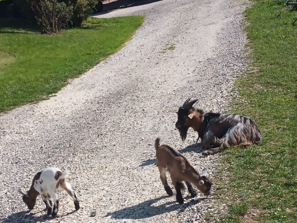 Das  Dreamteam  genießt die Sonne