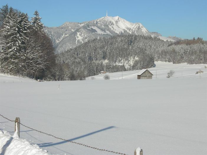 Blick zum Grünten