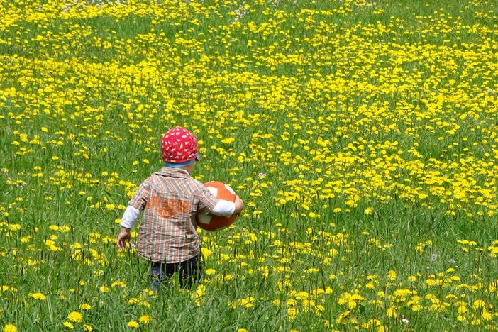 Frühling