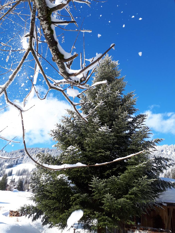 Winter in Balderschwang