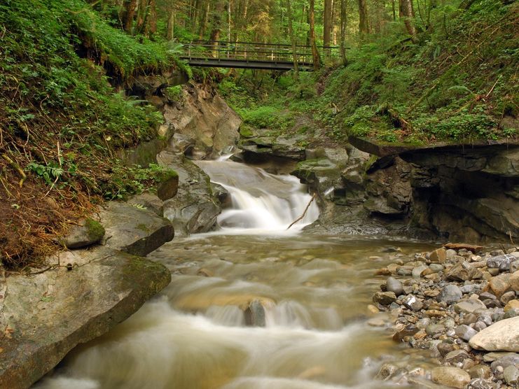 Hausbachklamm am Sägewerk