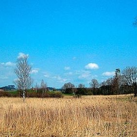src_99043984-0.jpg