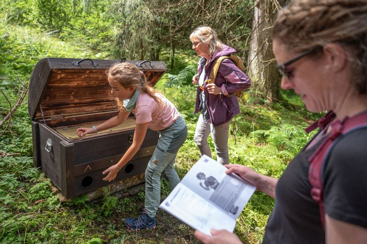 Rätselspaß auf dem MounTeens-Detektivweg